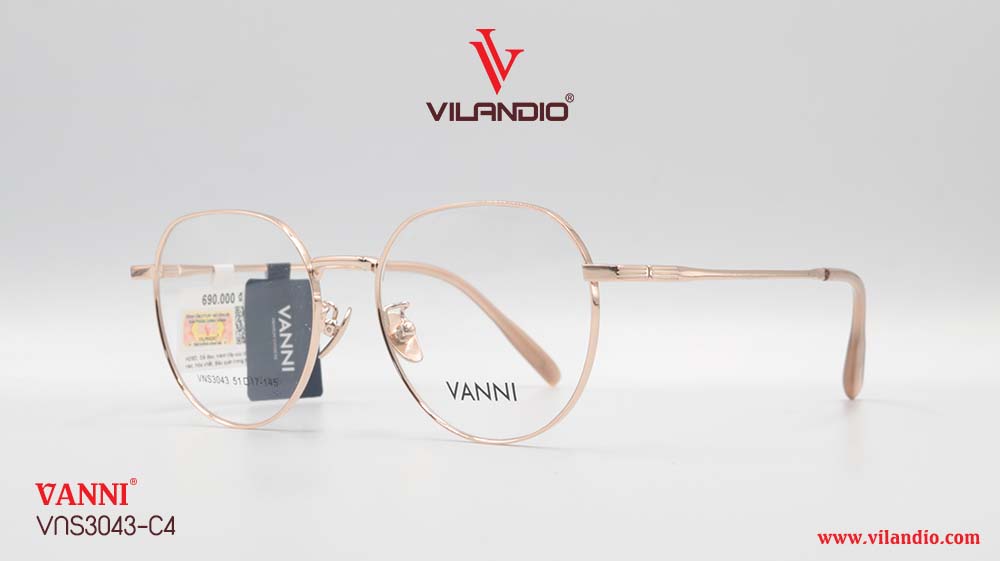 Gọng VANNI VNS3043 - Ảnh 3