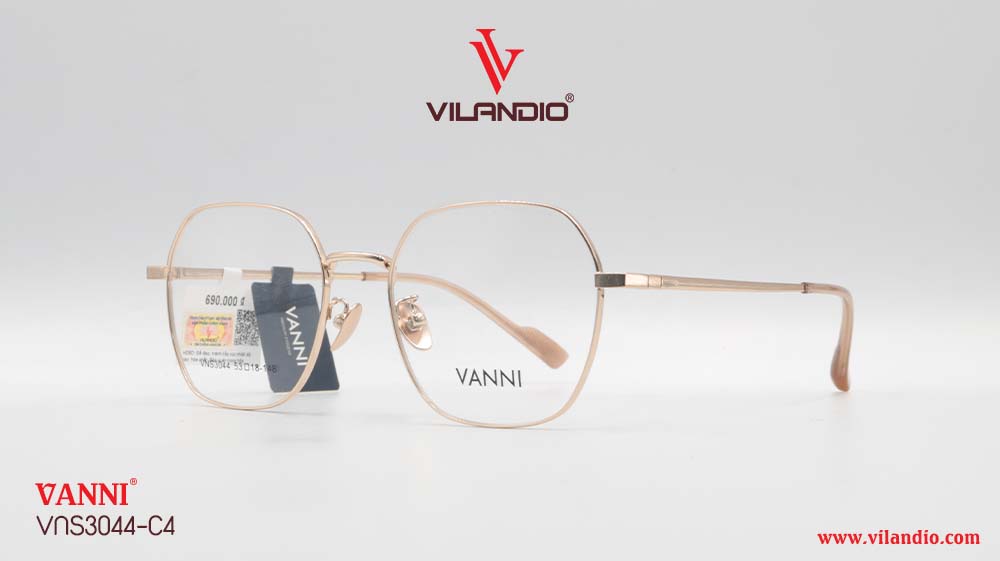 Gọng VANNI VNS3044 - Ảnh 3