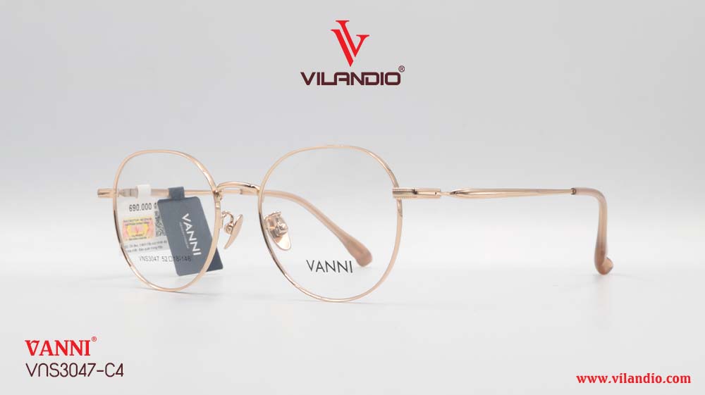 Gọng VANNI VNS3047 - Ảnh 3