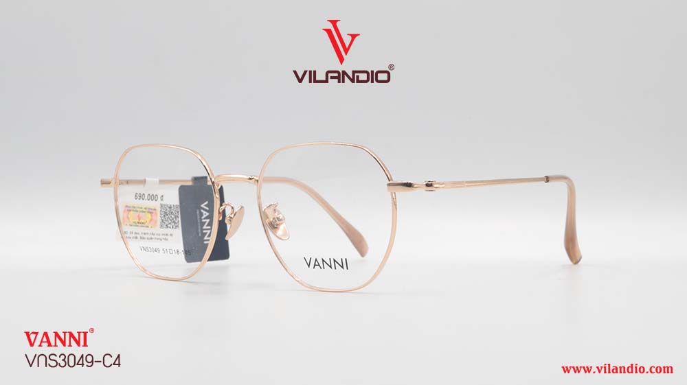Gọng VANNI VNS3049 - Ảnh 4