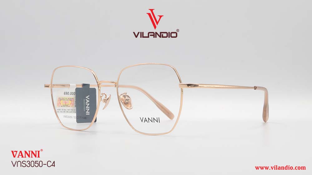 Gọng VANNI VNS3050 - Ảnh 3