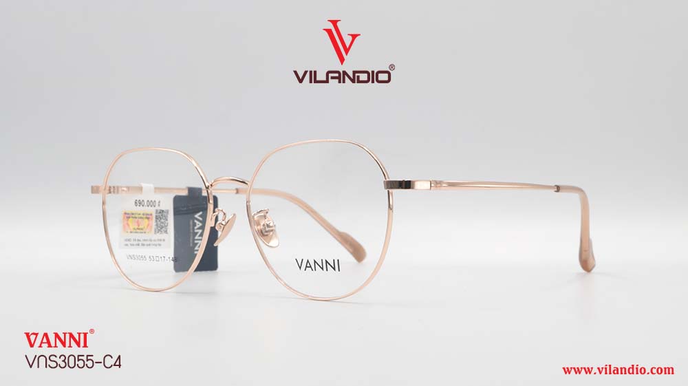 Gọng VANNI VNS3055 - Ảnh 3