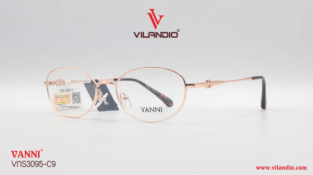 Gọng VANNI VNS3095 - Ảnh 3