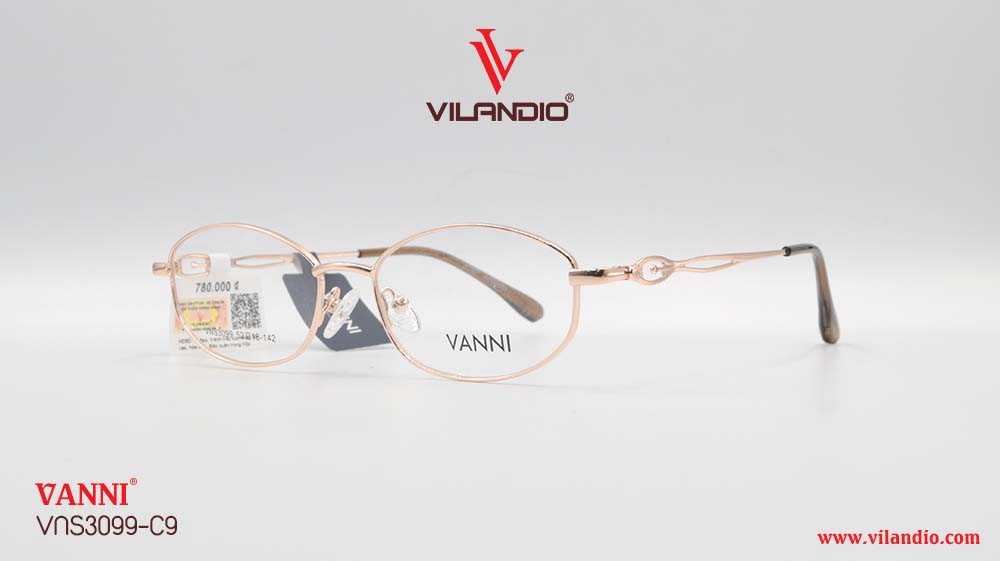 Gọng VANNI VNS3099 - Ảnh 3