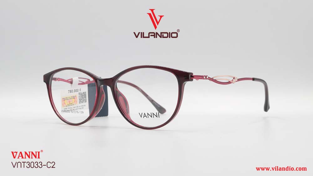 Gọng VANNI VNT3033 - Ảnh 3