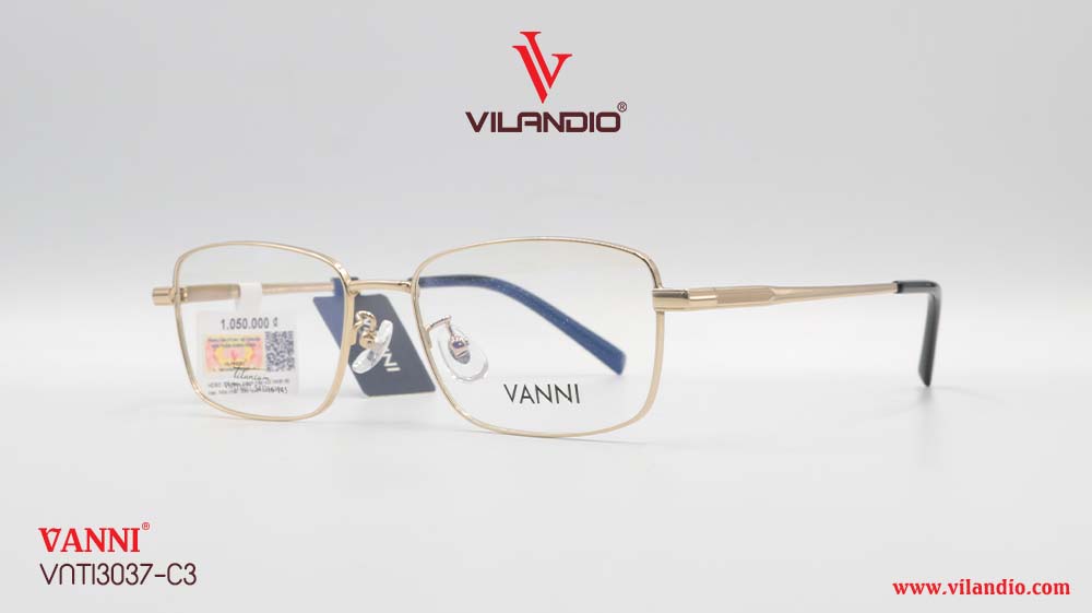 Gọng VANNI VNTI3037 - Ảnh 3