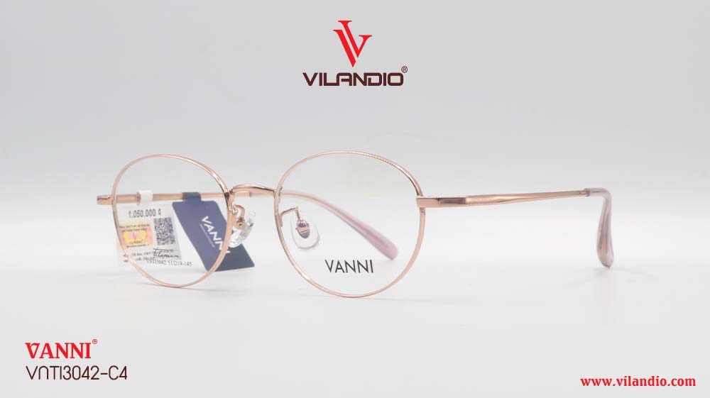 Gọng VANNI VNTI3042 - Ảnh 4