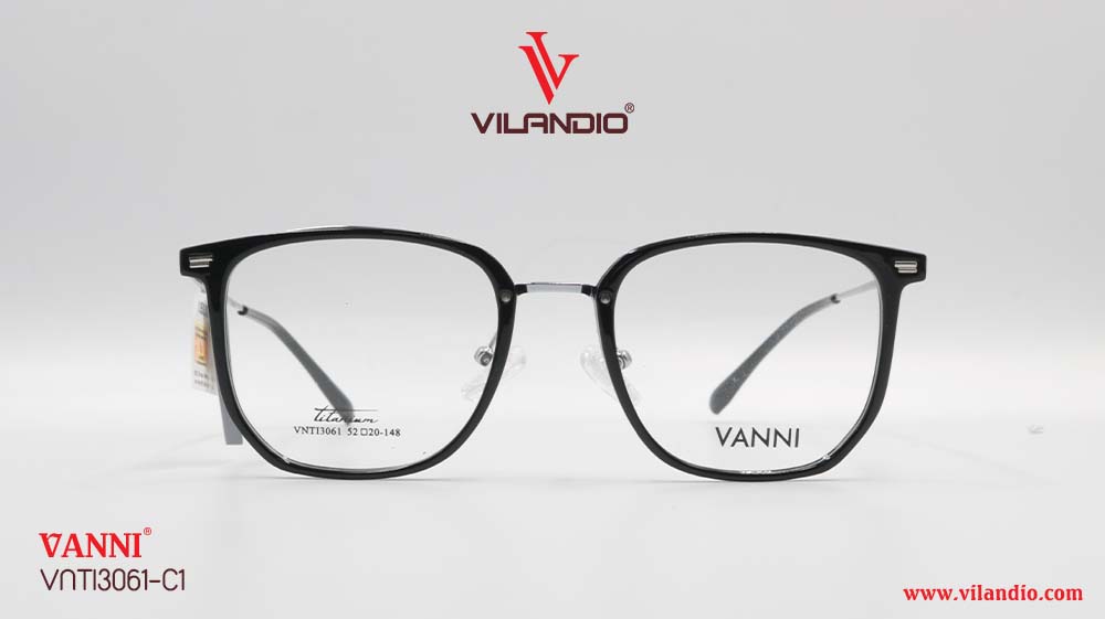 Gọng VANNI VNTI3061