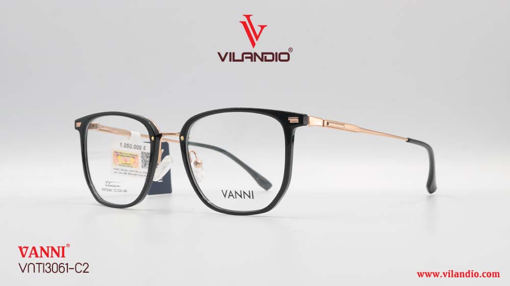 Gọng VANNI VNTI3061 - Ảnh 3