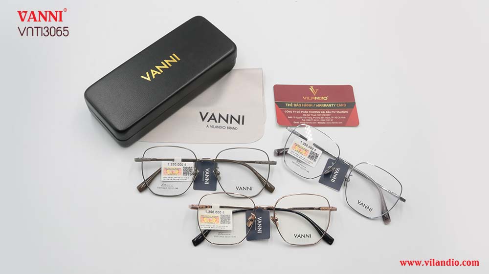 Gọng VANNI VNTI3065 - Ảnh 5