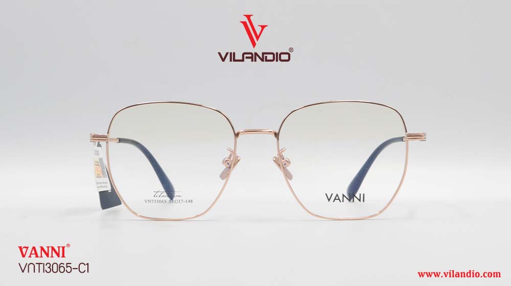 Gọng VANNI VNTI3065