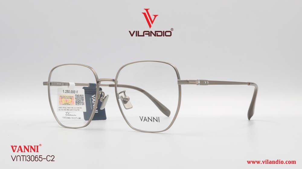 Gọng VANNI VNTI3065 - Ảnh 3
