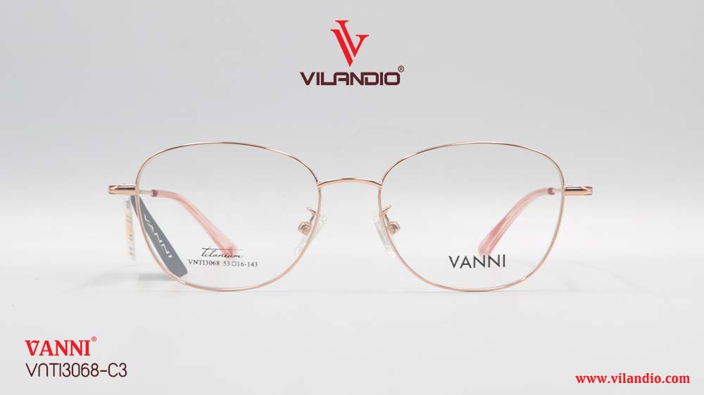 Gọng VANNI VNTI3068