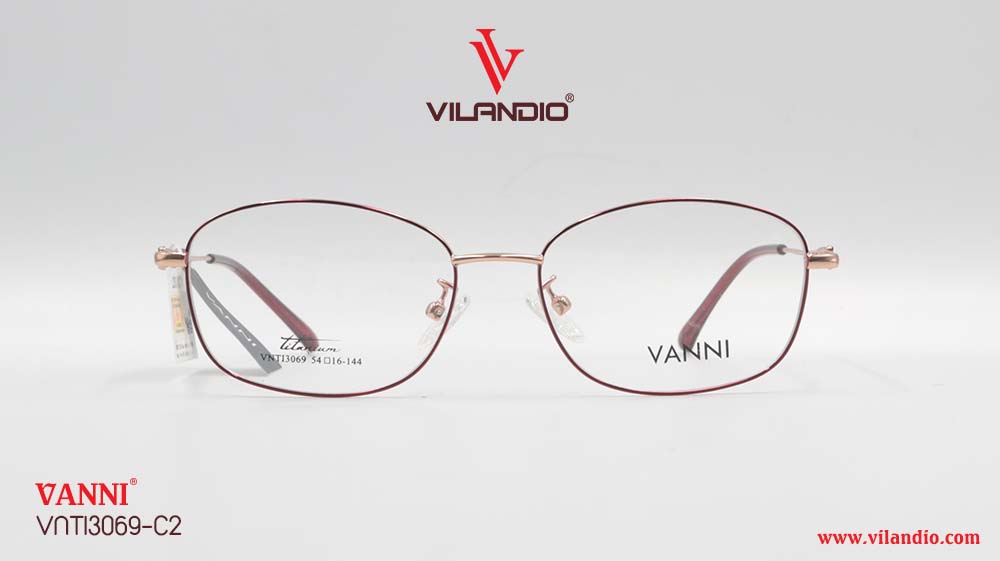 Gọng VANNI VNTI3069