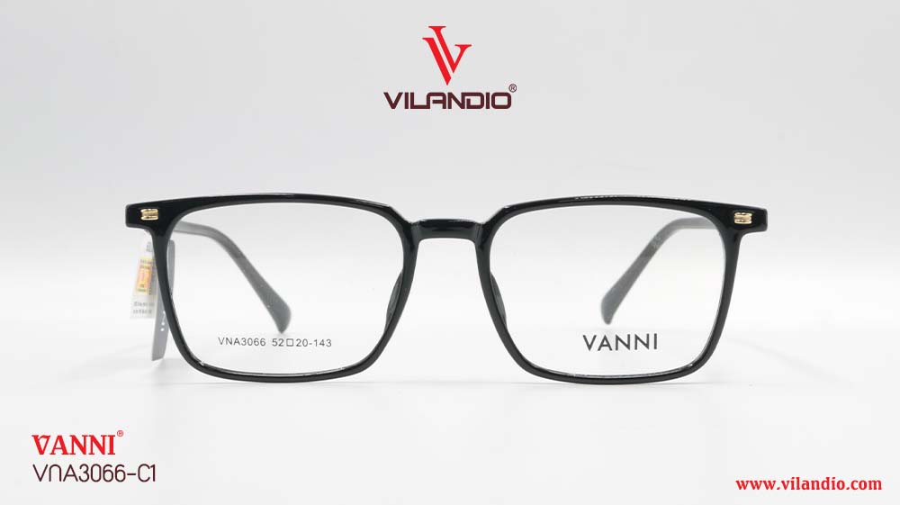 Gọng VANNI VNA3066