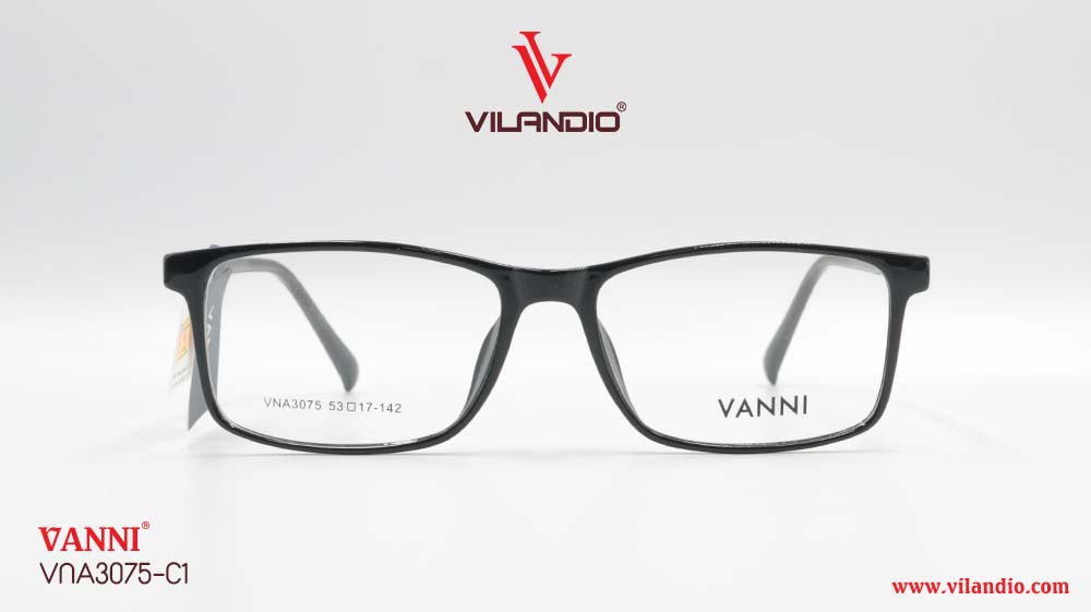Gọng VANNI VNA3075