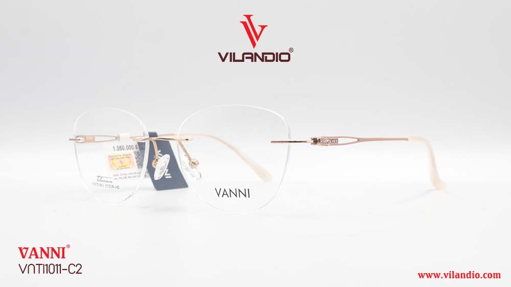 Gọng VANNI VNTI1011 - Ảnh 3