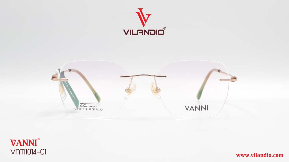Gọng VANNI VNTI1014