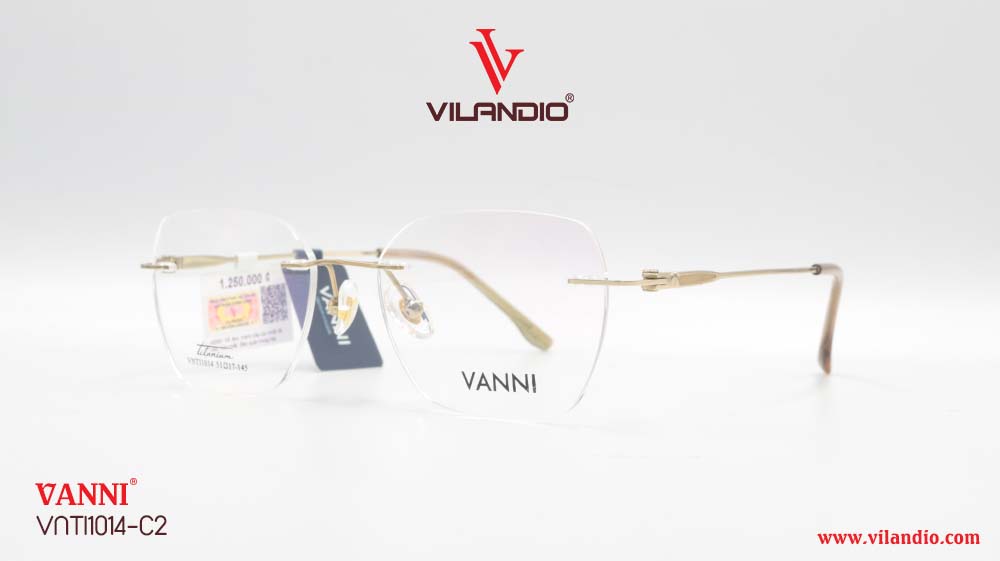 Gọng VANNI VNTI1014 - Ảnh 3