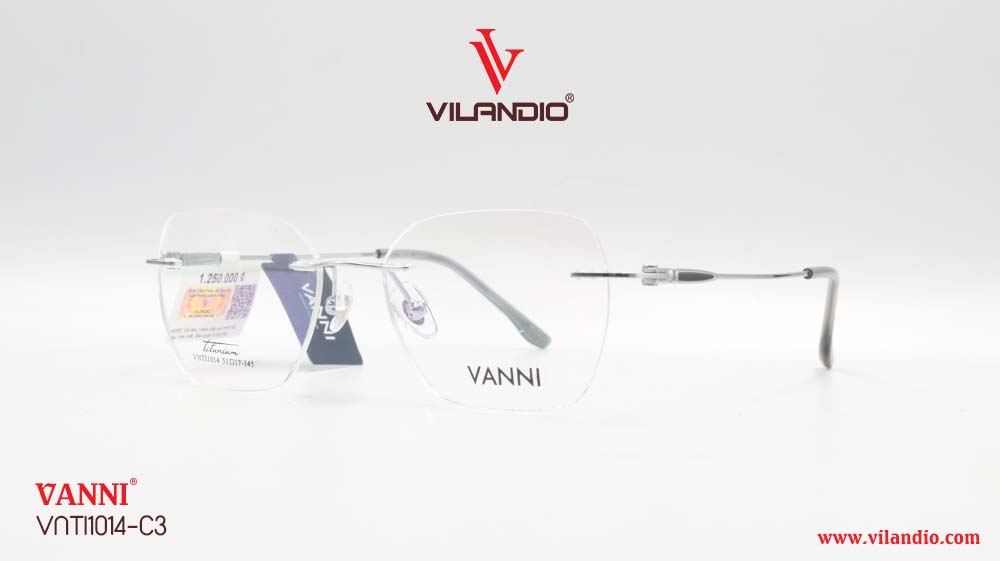 Gọng VANNI VNTI1014 - Ảnh 4