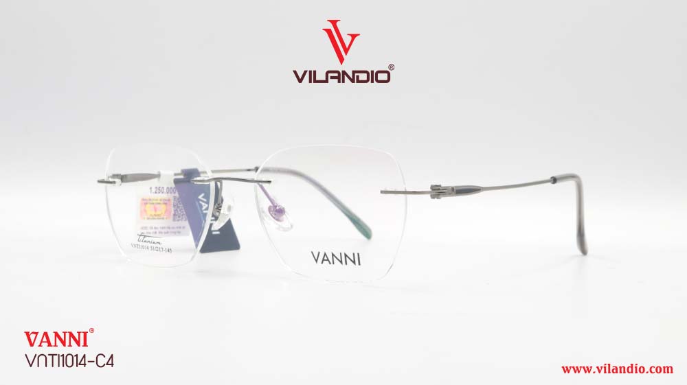 Gọng VANNI VNTI1014 - Ảnh 5