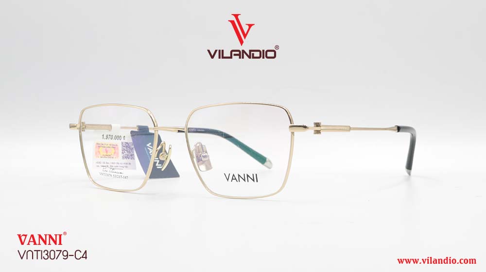 Gọng VANNI VNTI3079 - Ảnh 4